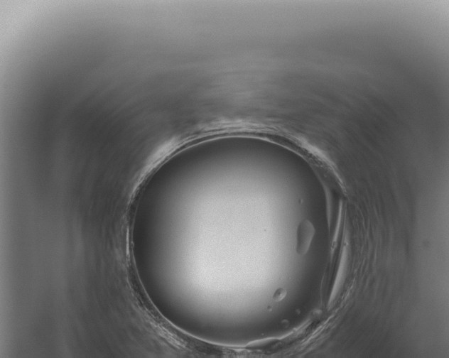 X0000060261365200511041338