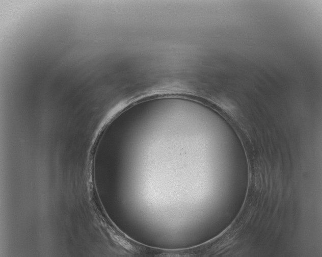 X0000060261366200511041338