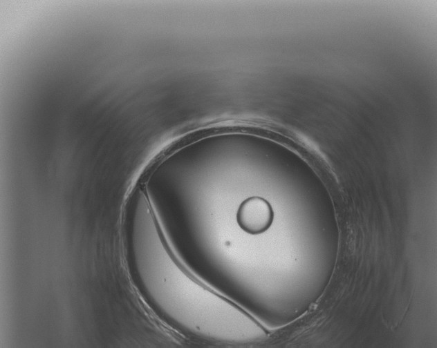 X0000060261368200511041338