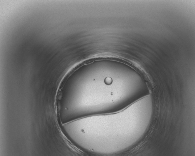 X0000060261372200511041338