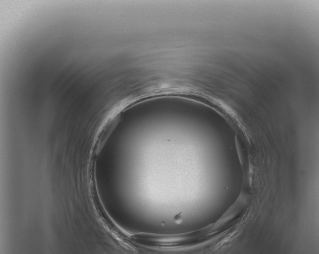 X0000060261373200511041338