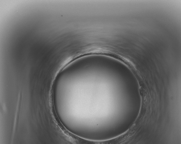 X0000060261375200511041338