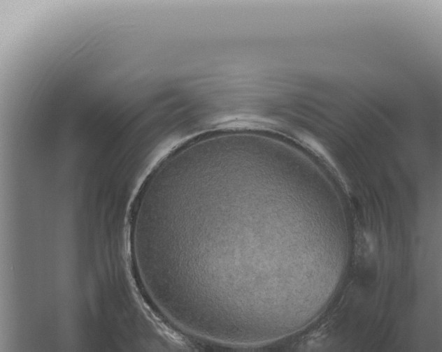 X0000060261376200511041338