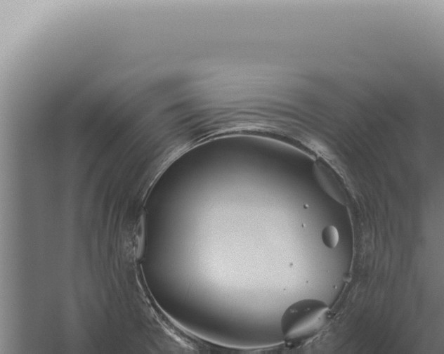 X0000060261377200511041338