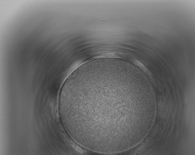 X0000060261378200511041338