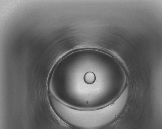 X0000060261380200511041338