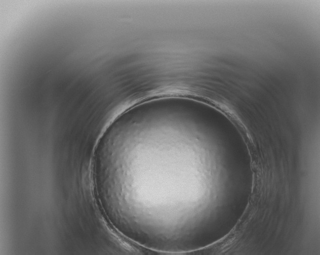 X0000060261382200511041338