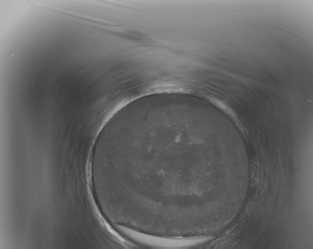 X0000060261383200511041338