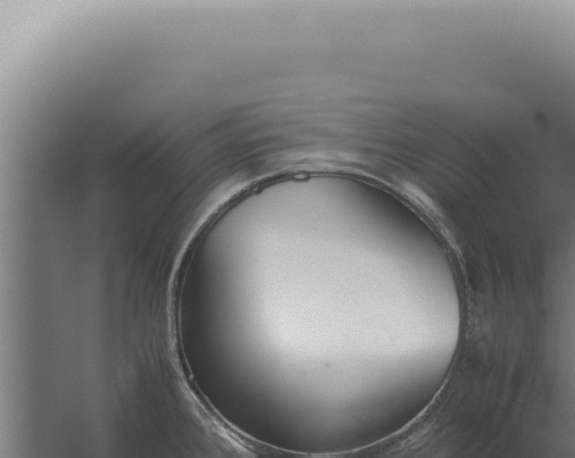 X0000060261384200511041338