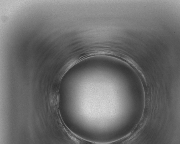 X0000060261385200511041338