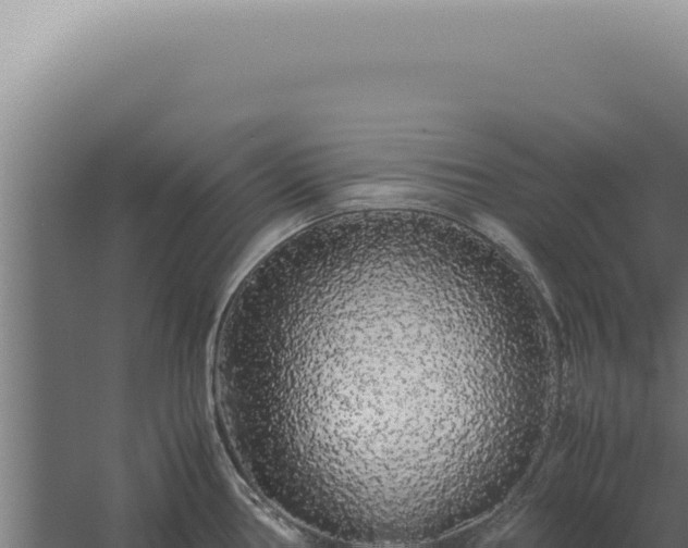 X0000060261386200511041338