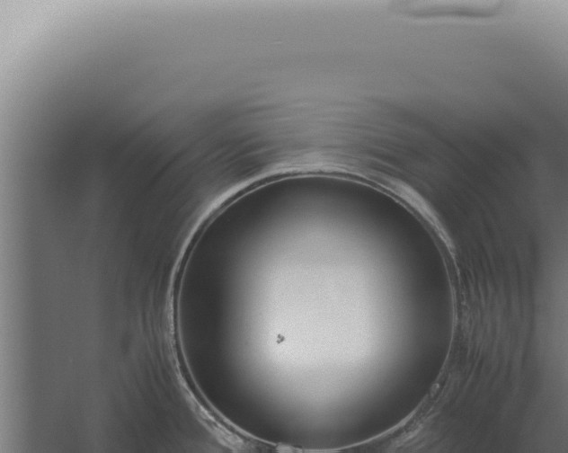 X0000060261388200511041338