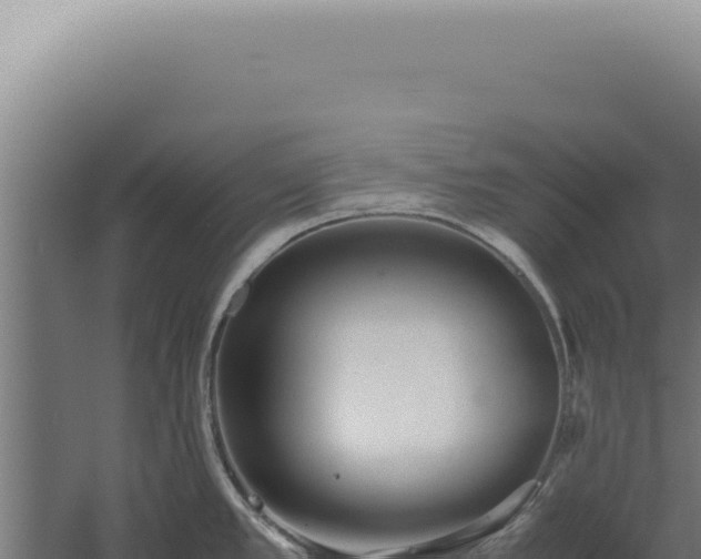 X0000060261389200511041338