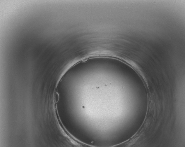 X0000060261390200511041338