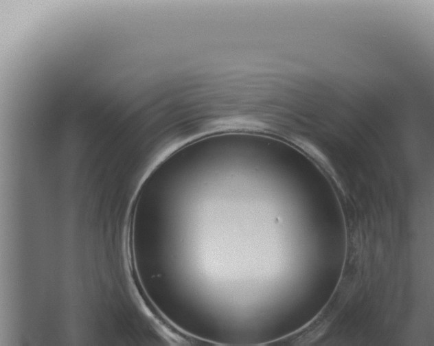 X0000060261391200511041338