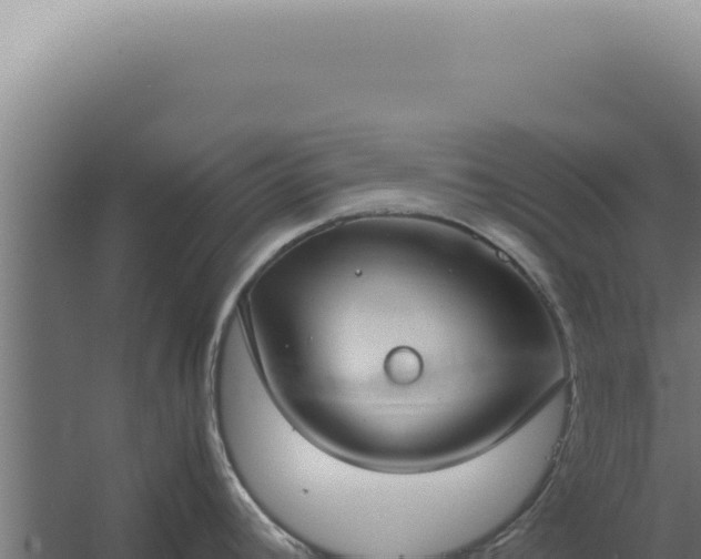 X0000060261392200511041338