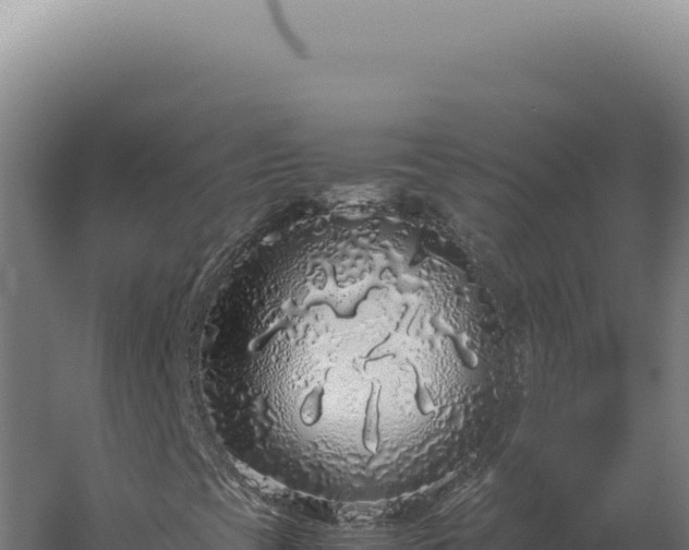 X0000060261393200511041337