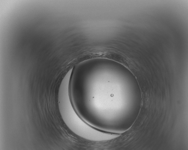 X0000060261394200511041337