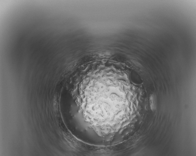 X0000060261395200511041337