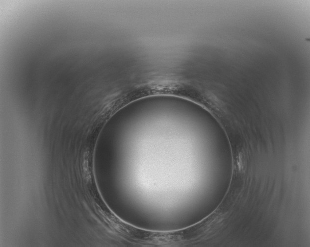 X0000060261396200511041337