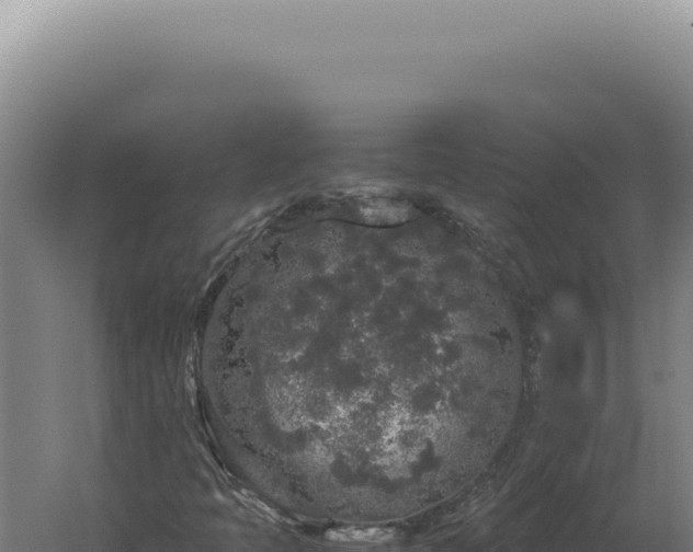 X0000060261397200511041337