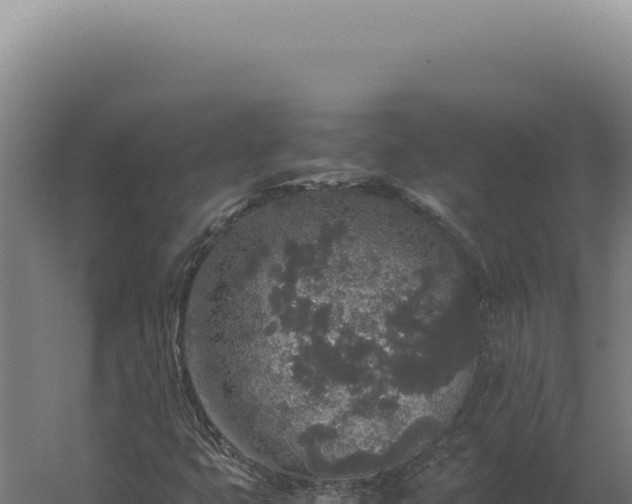 X0000060261399200511041337