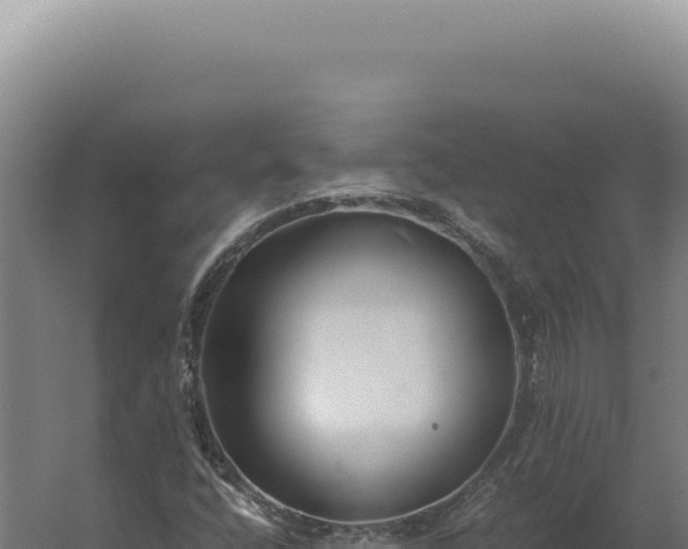 X0000060261400200511041337