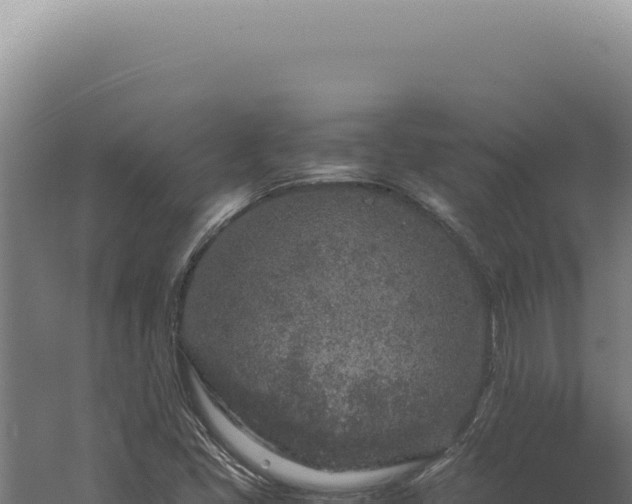 X0000060261405200511041337