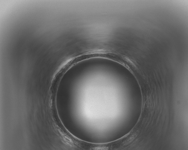 X0000060261406200511041337