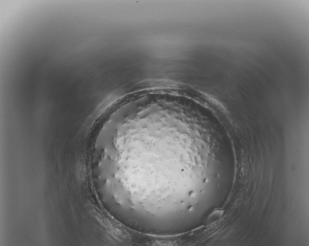 X0000060261407200511041337