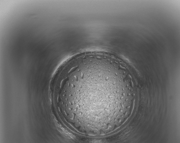 X0000060261408200511041337