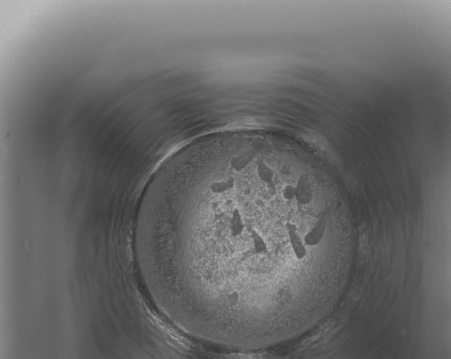 X0000060261409200511041337