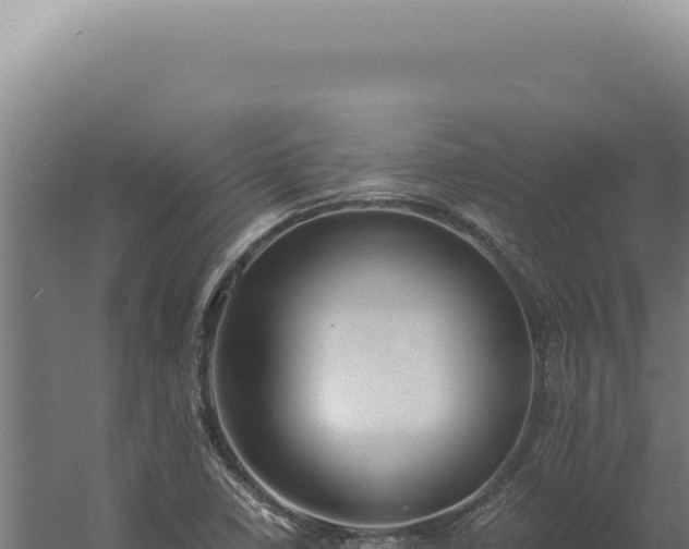 X0000060261410200511041337