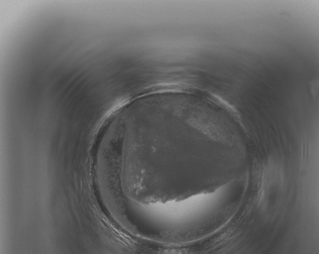 X0000060261411200511041337