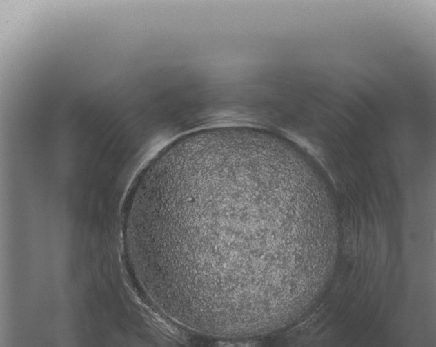 X0000060261415200511041337