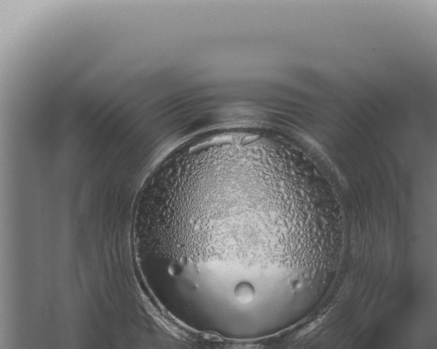 X0000060261417200511041337