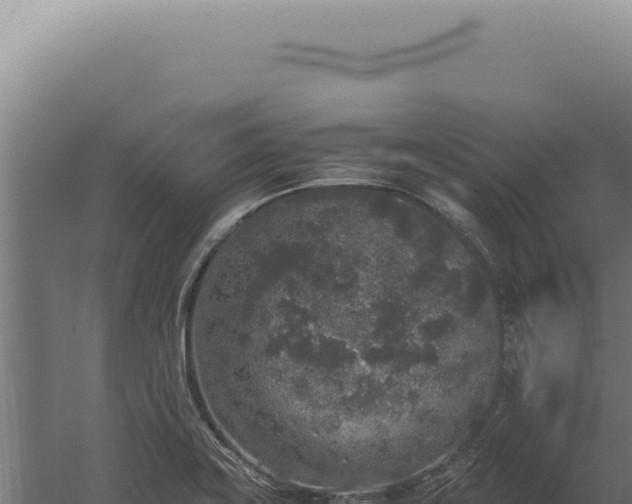 X0000060261419200511041337