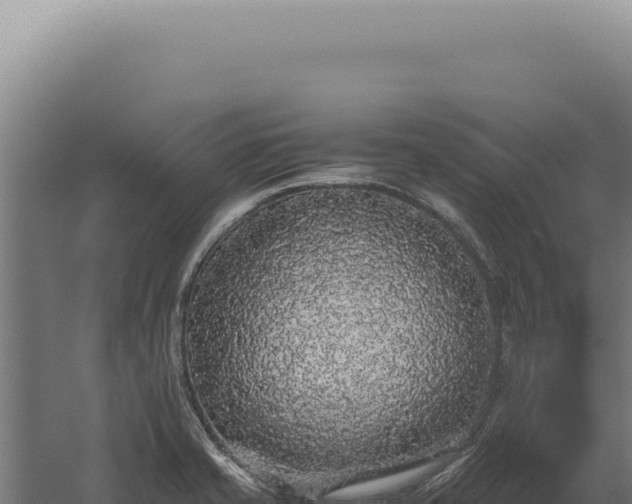 X0000060261421200511041337