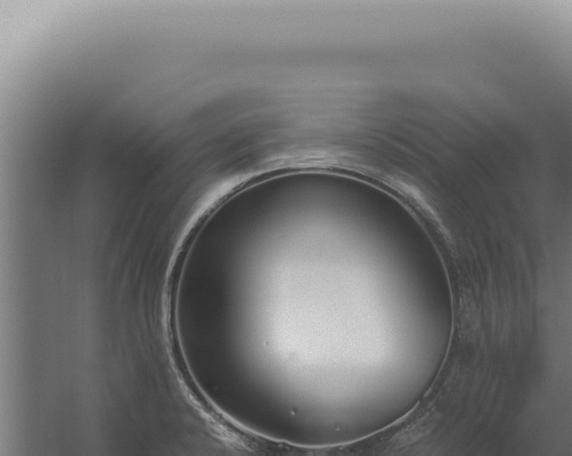 X0000060261424200511041337