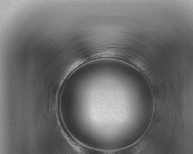 X0000060261426200511041337