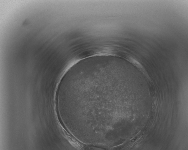 X0000060261427200511041337