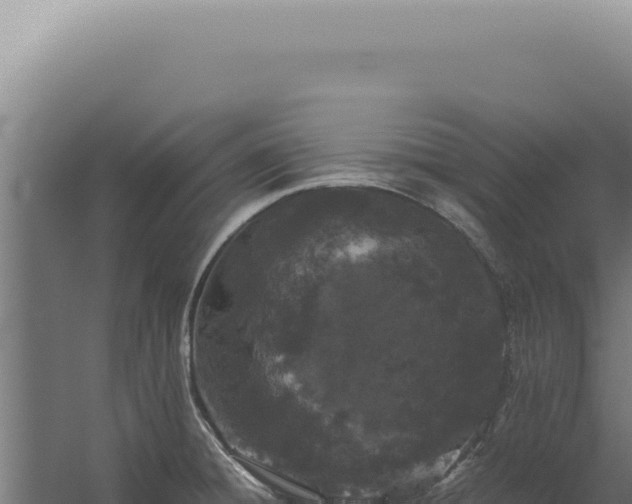 X0000060261428200511041337