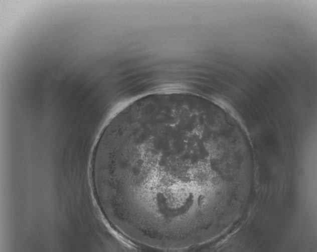 X0000060261429200511041337