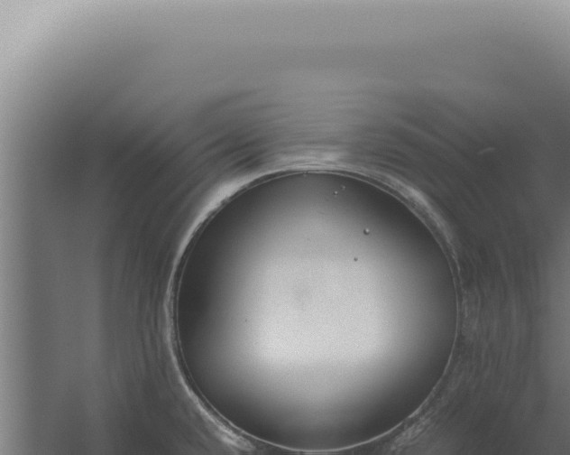 X0000060261432200511041338