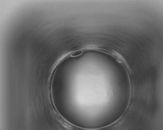 X0000060261435200511041338