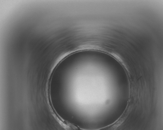 X0000060261438200511041338