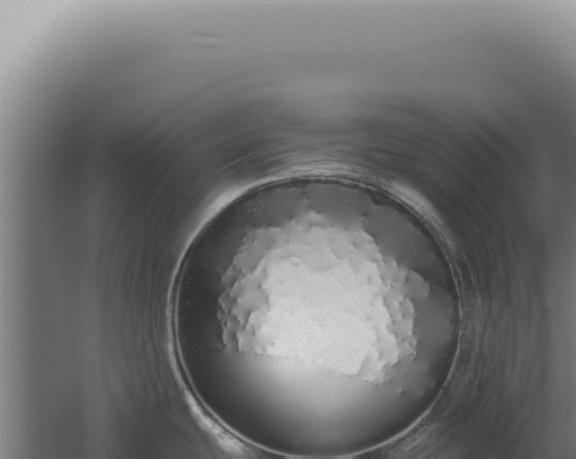 X0000060261439200511041338