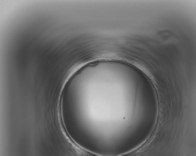 X0000060261440200511041338