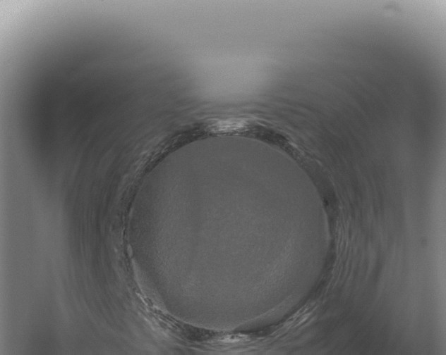 X0000060261441200511041337