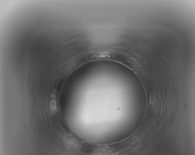 X0000060261442200511041337